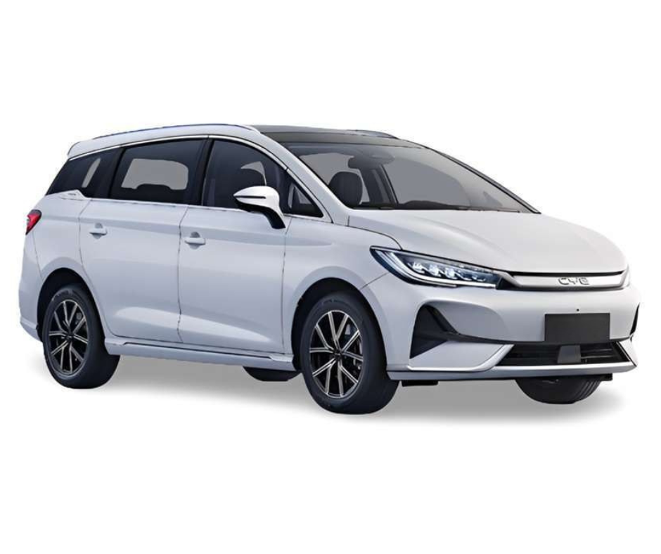 BYD M6